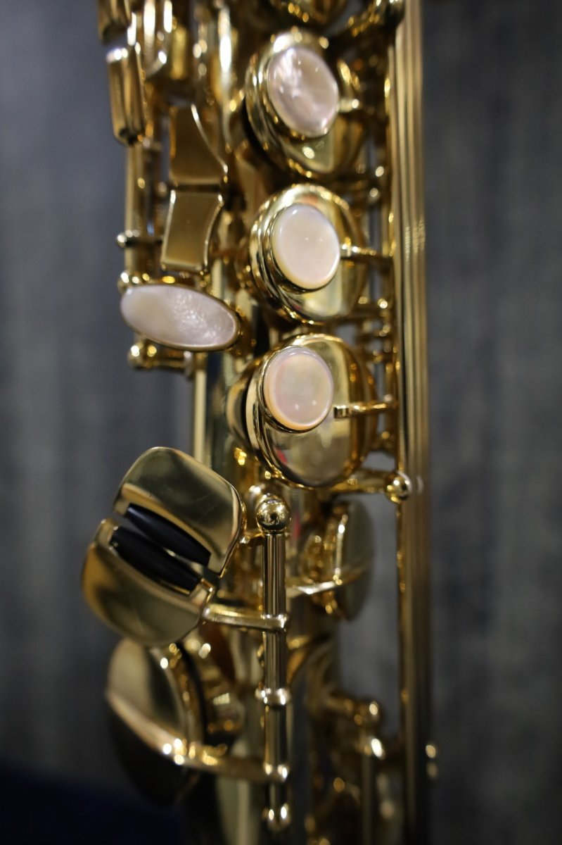 画像5: Selmer SerieIII jubilee GL  (5)