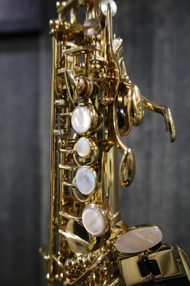 画像7: Selmer SerieIII jubilee GL  (7)