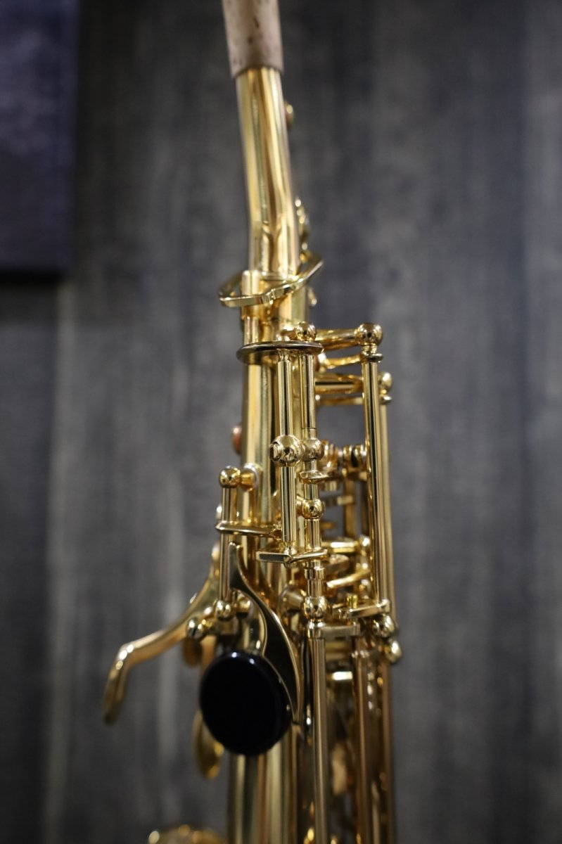 画像9: Selmer SerieIII jubilee GL  (9)