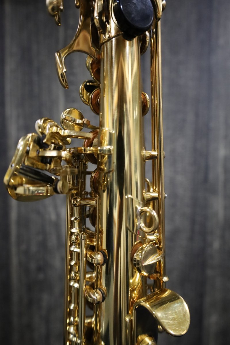 画像10: Selmer SerieIII jubilee GL  (10)