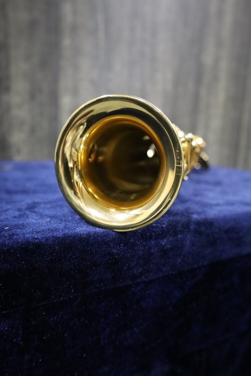 画像13: Selmer SerieIII jubilee GL  (13)