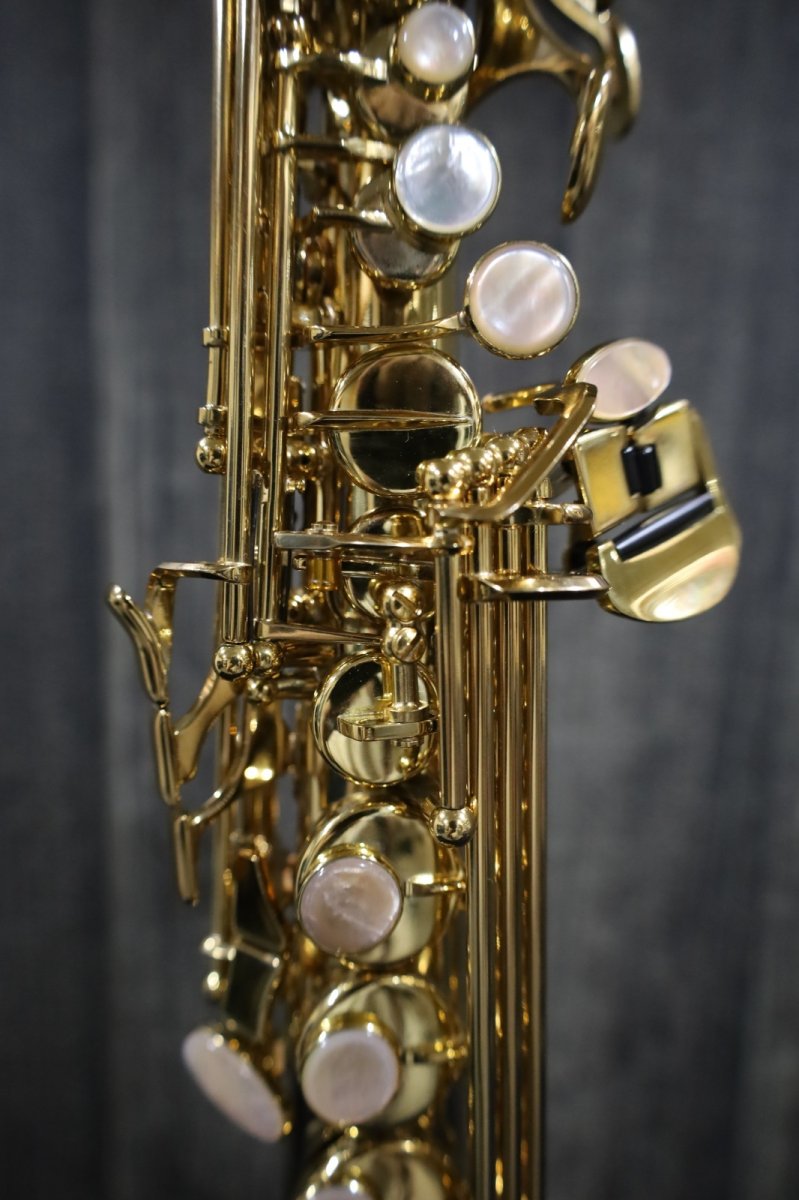 画像6: Selmer SerieIII jubilee GL  (6)