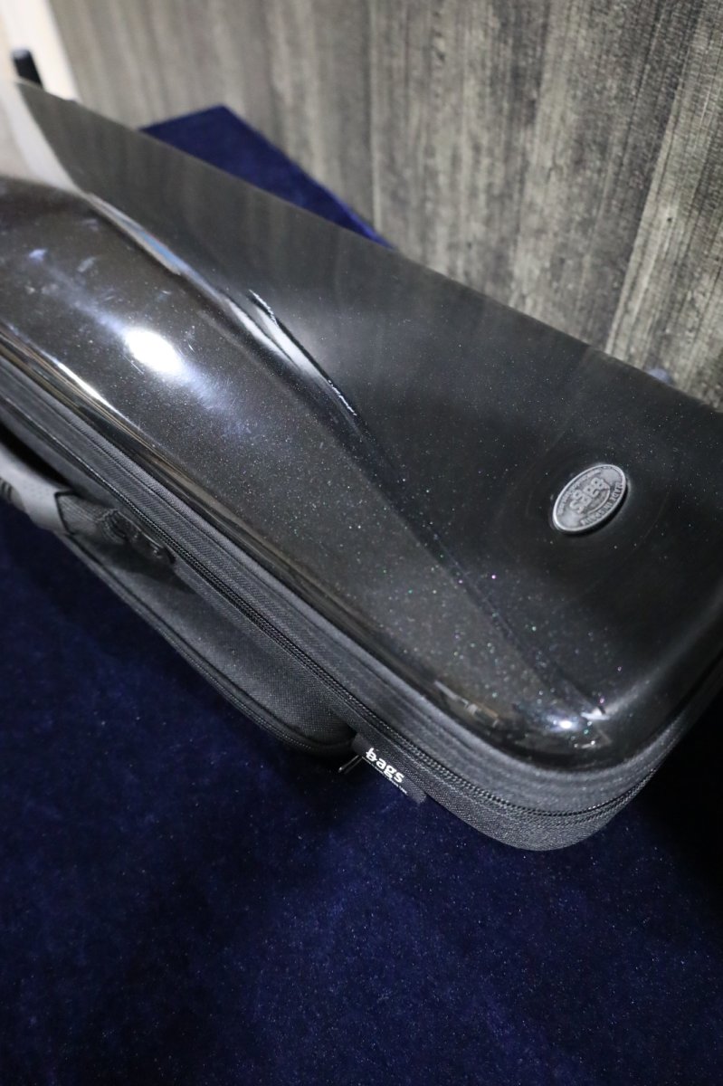 画像15: Selmer SerieIII jubilee GL  (15)