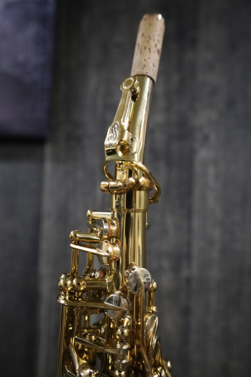 画像8: Selmer SerieIII jubilee GL  (8)