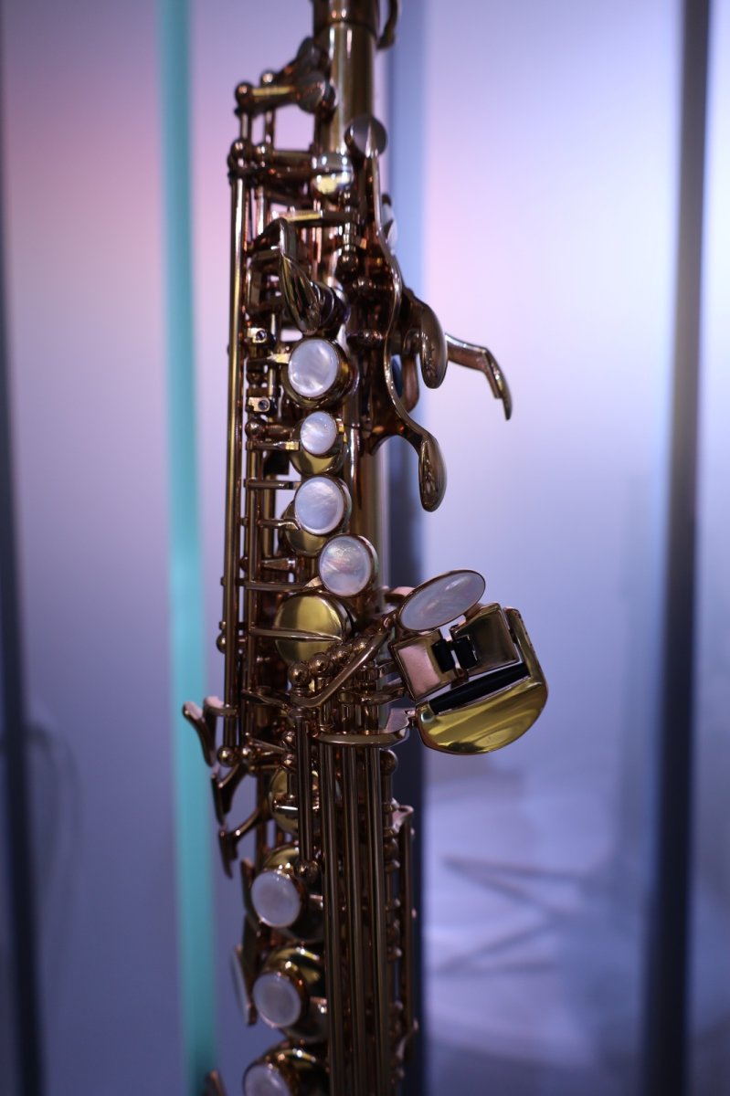 画像2: Selmer SerieIII GL (2)