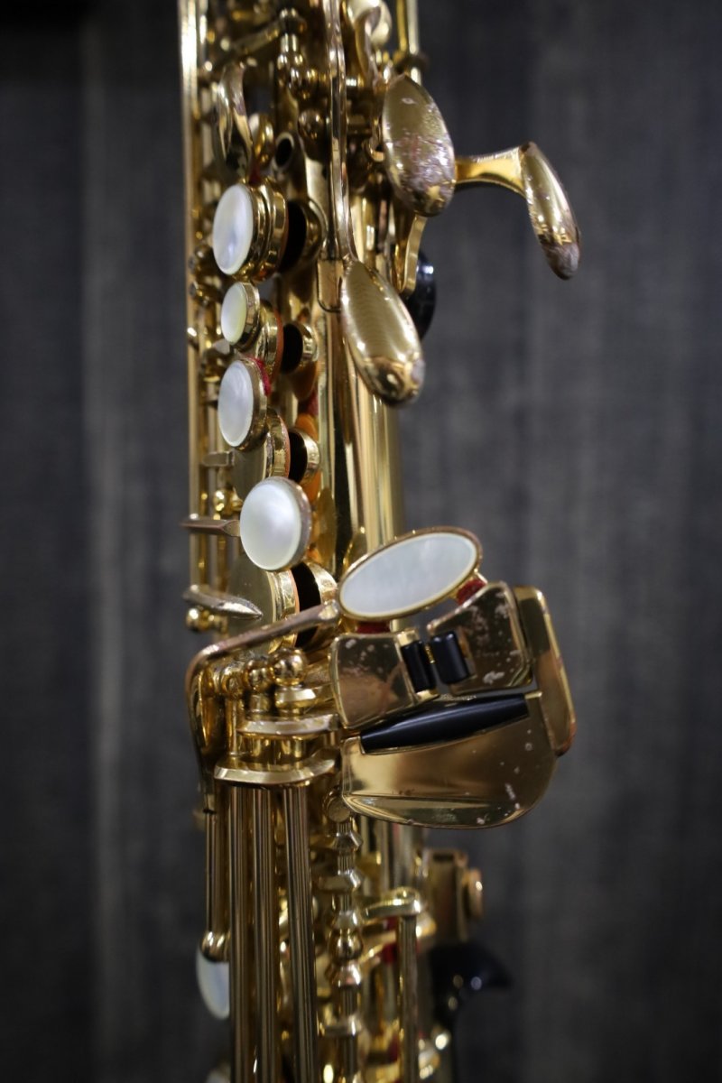 画像5: YAMAHA YSS-875 (5)