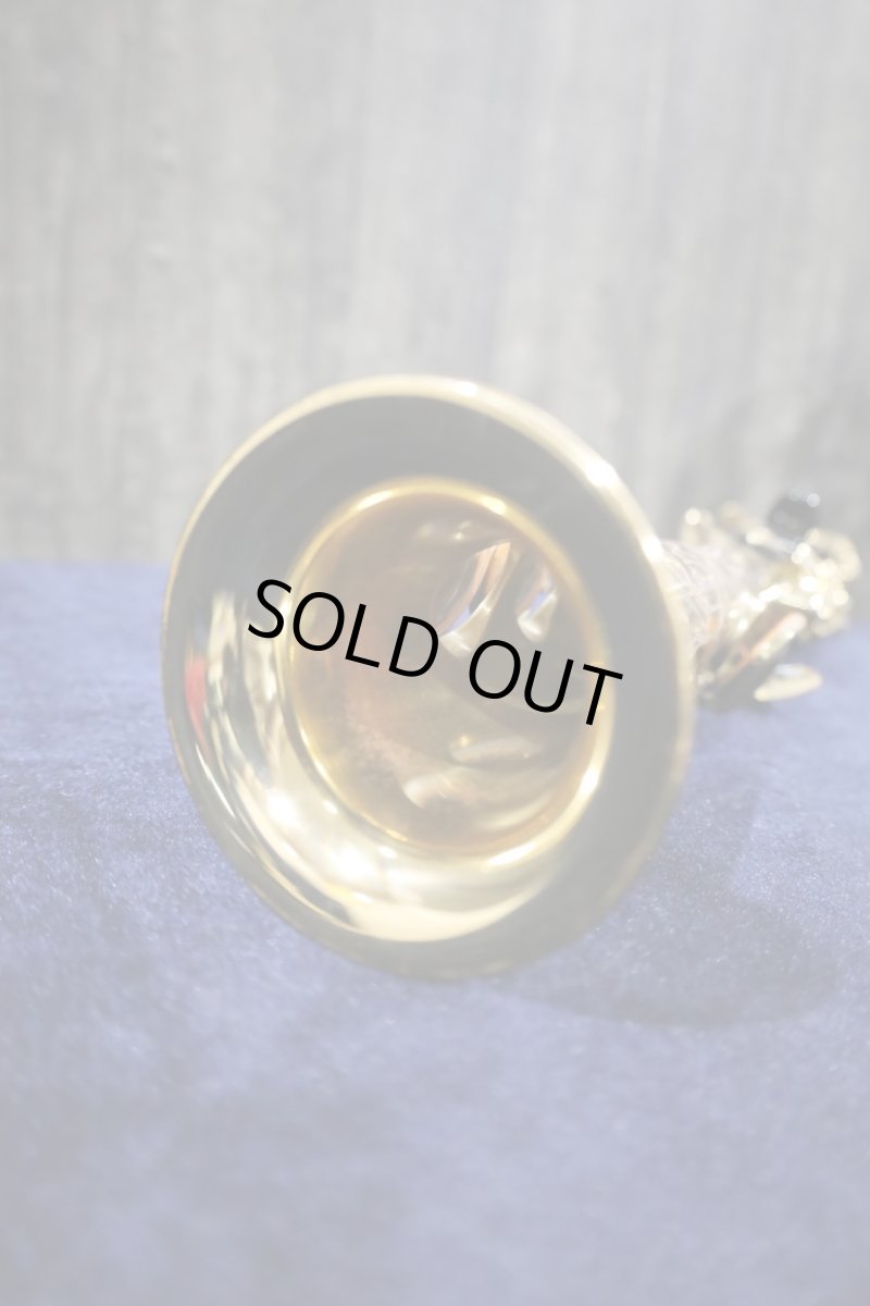 画像13: YAMAHA YSS-875 (13)