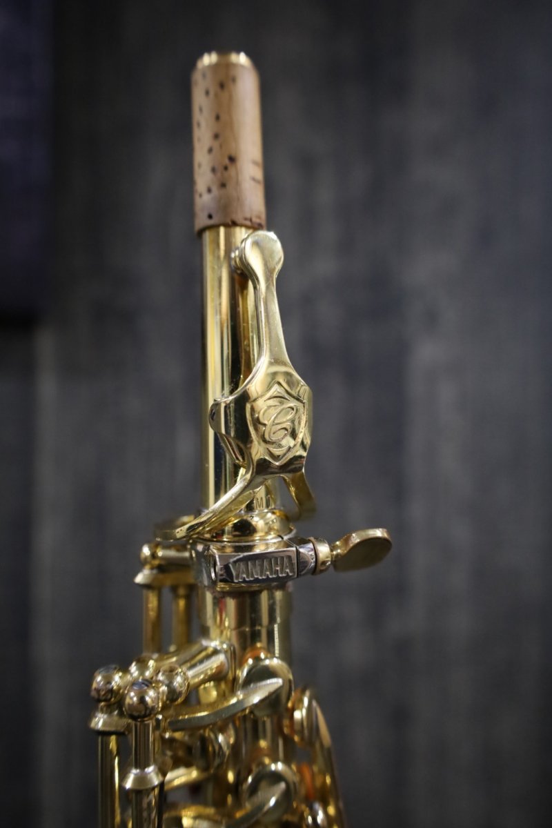 画像7: YAMAHA YSS-875 (7)