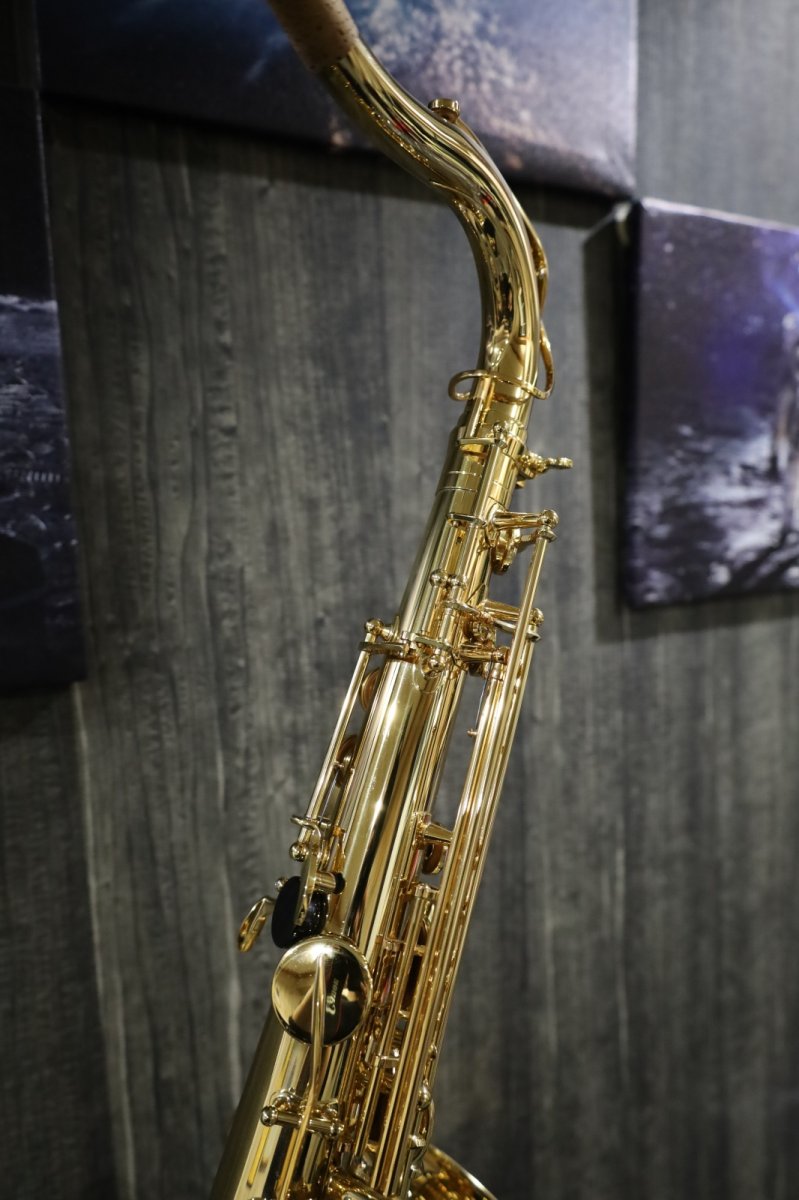 画像6: Selmer Jubilee SerieII Tenor GL (6)