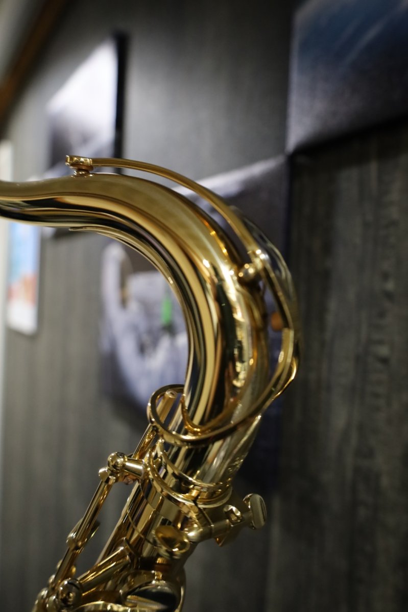 画像9: Selmer Jubilee SerieII Tenor GL (9)