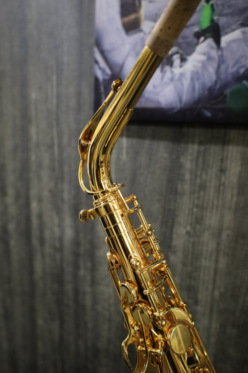 画像12: Selmer SerieIIII jubilee Alto GP (12)