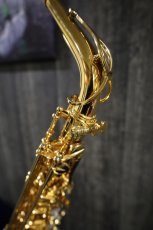 画像6: Selmer SerieIIII jubilee Alto GP (6)