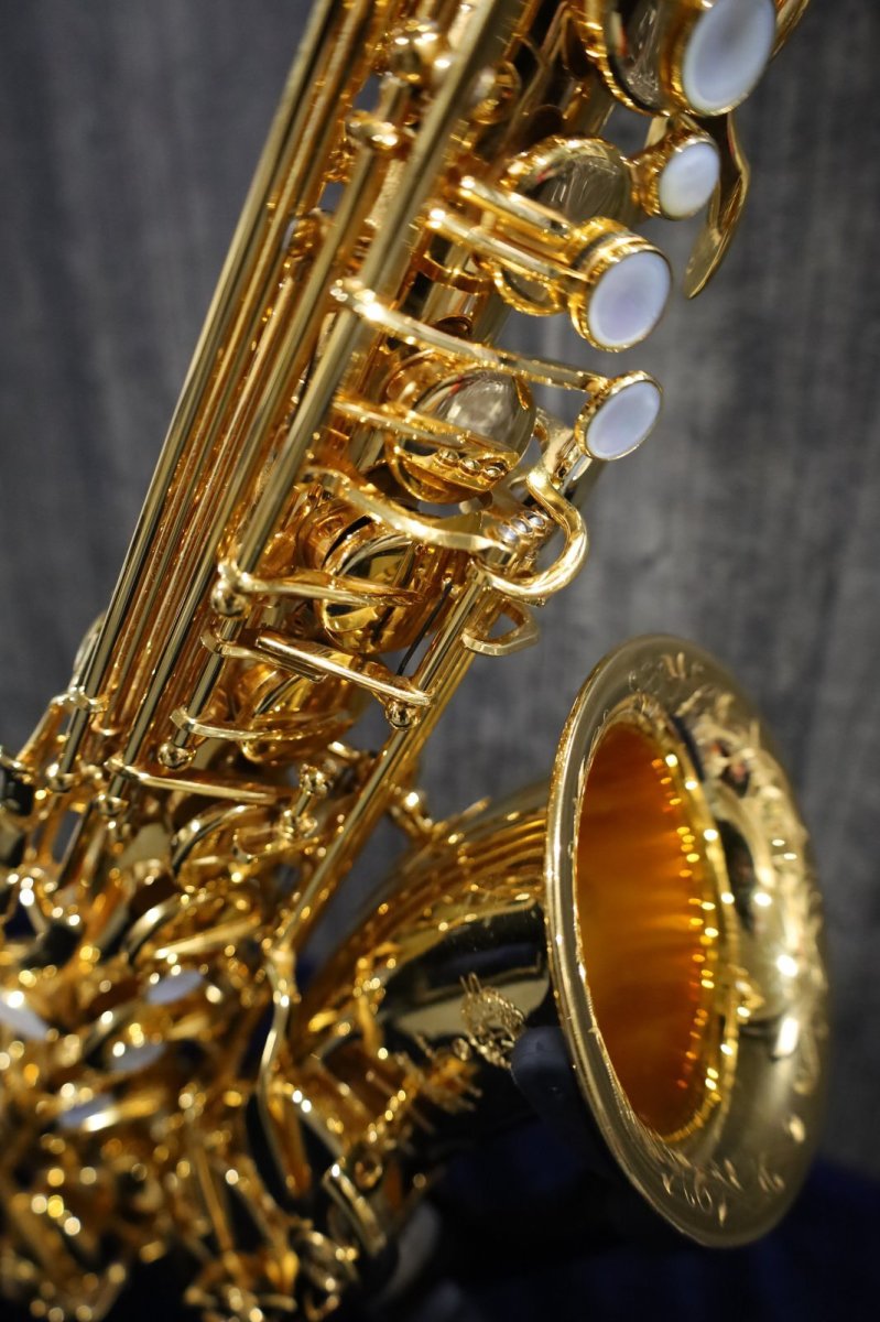 画像7: Selmer SerieIIII jubilee Alto GP (7)