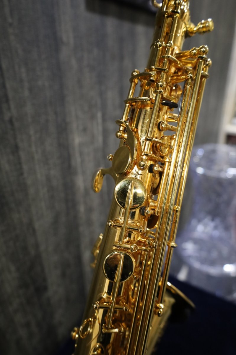 画像9: Selmer SerieIIII jubilee Alto GP (9)