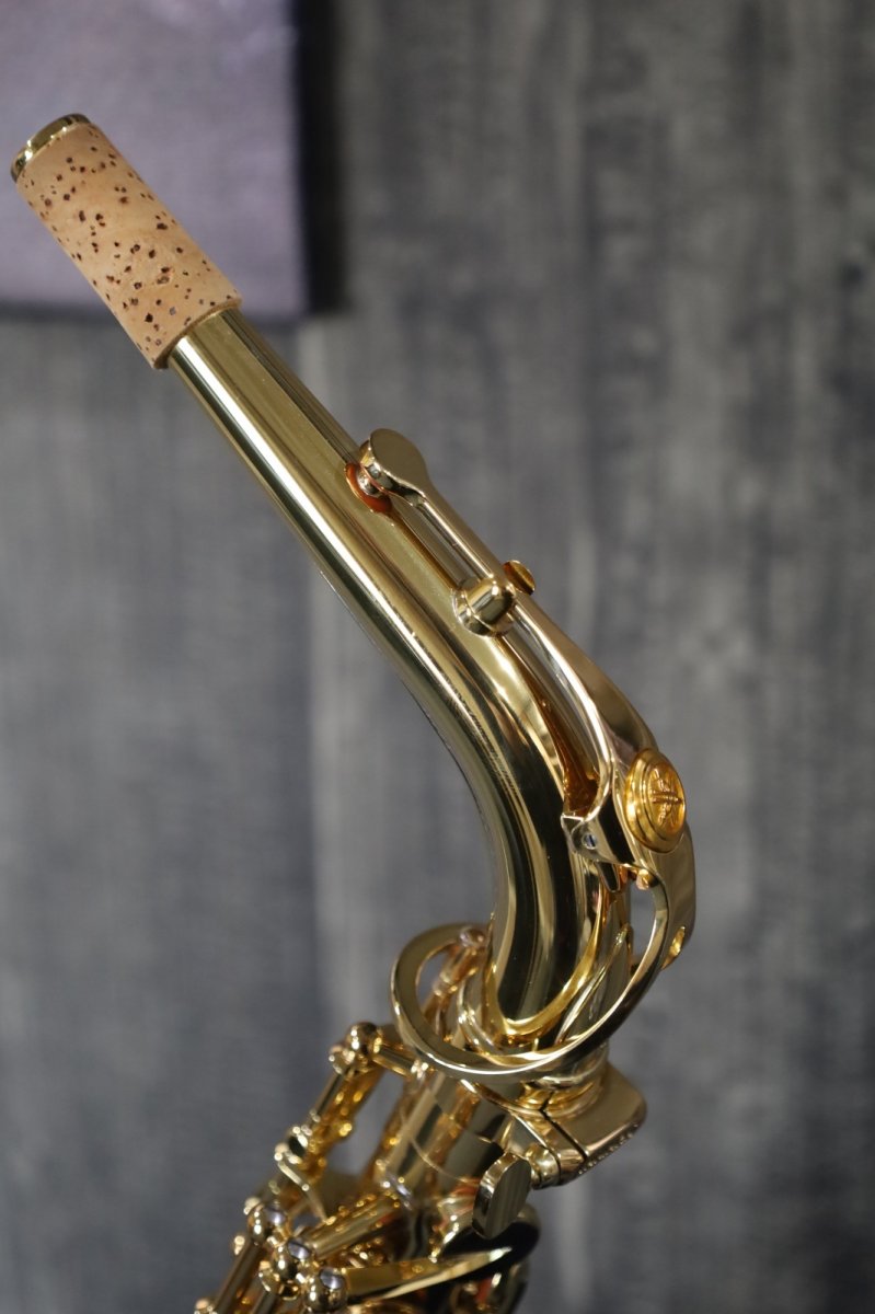 画像3: YAMAHA YAS-62 (4th generation) (3)