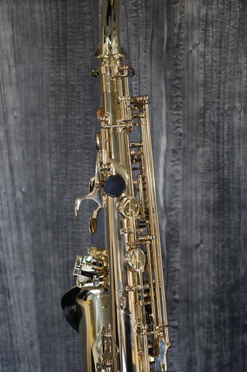 画像6: Selmer SA80 SERIE II (6)
