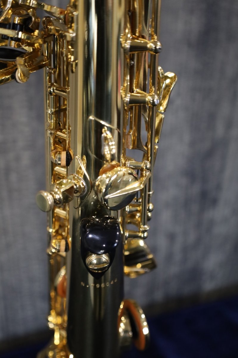 画像7: Selmer SA80 SERIE II Jubilee GL (7)