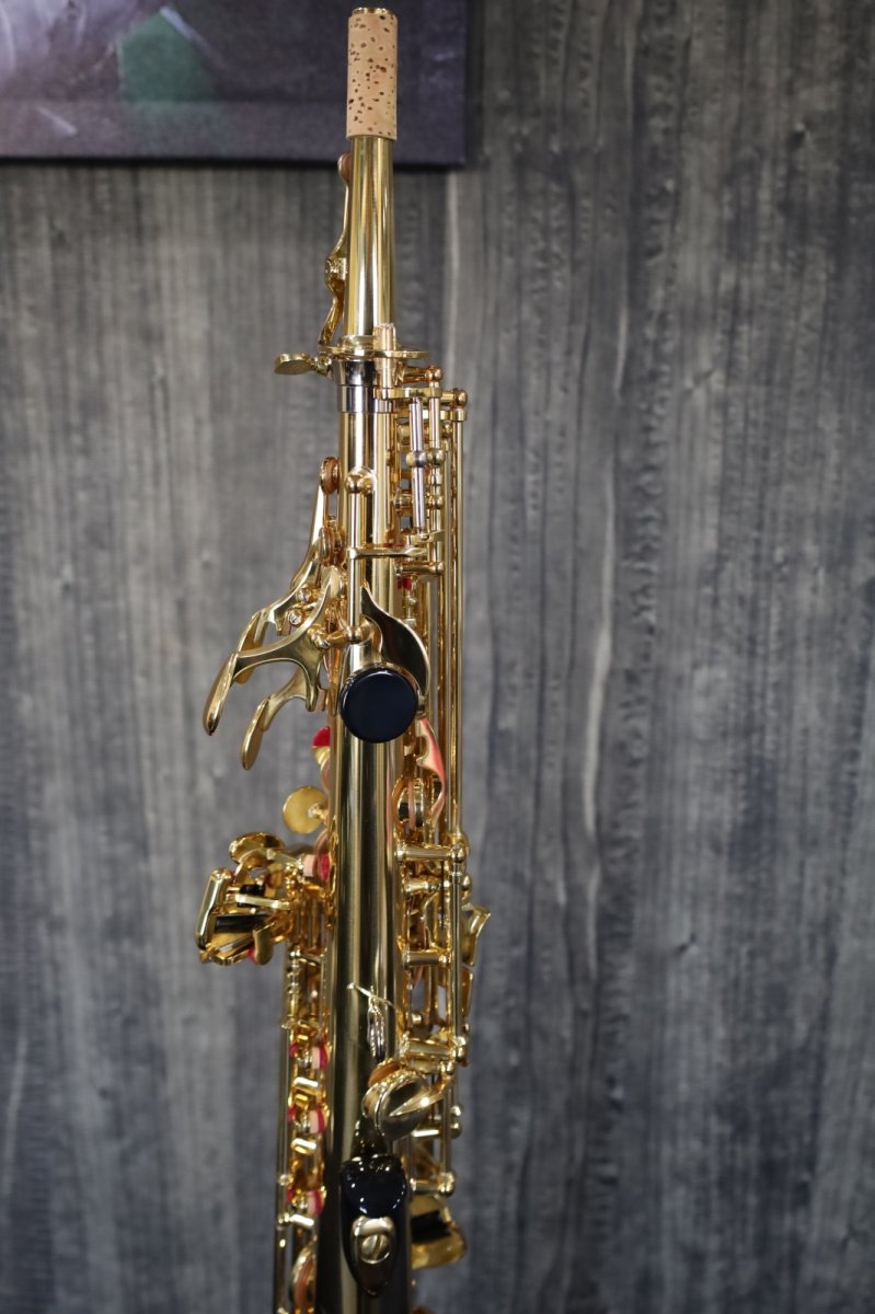 画像6: YAMAHA YSS-875EXHG (6)