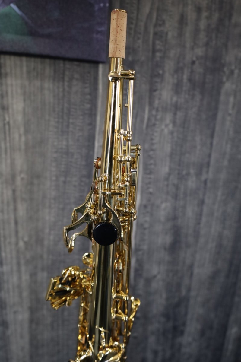 画像6: Selmer SA80 SERIE II Jubilee GL (6)