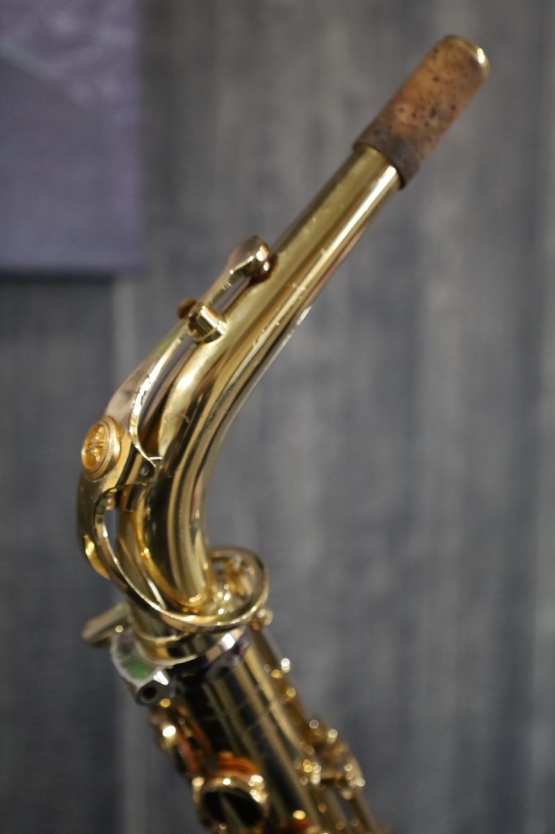 画像8: YAMAHA YAS-875EX (8)