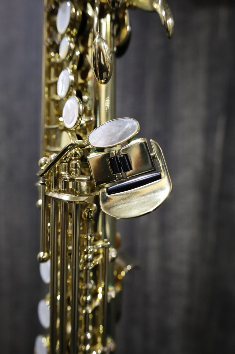 画像8: Selmer SA80 SERIE III GL (8)