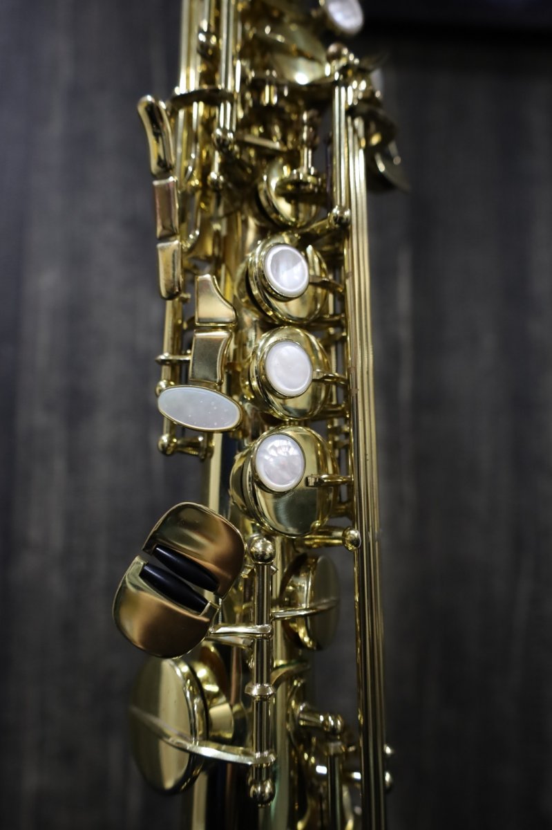 画像4: Selmer SA80 SERIE III GL (4)