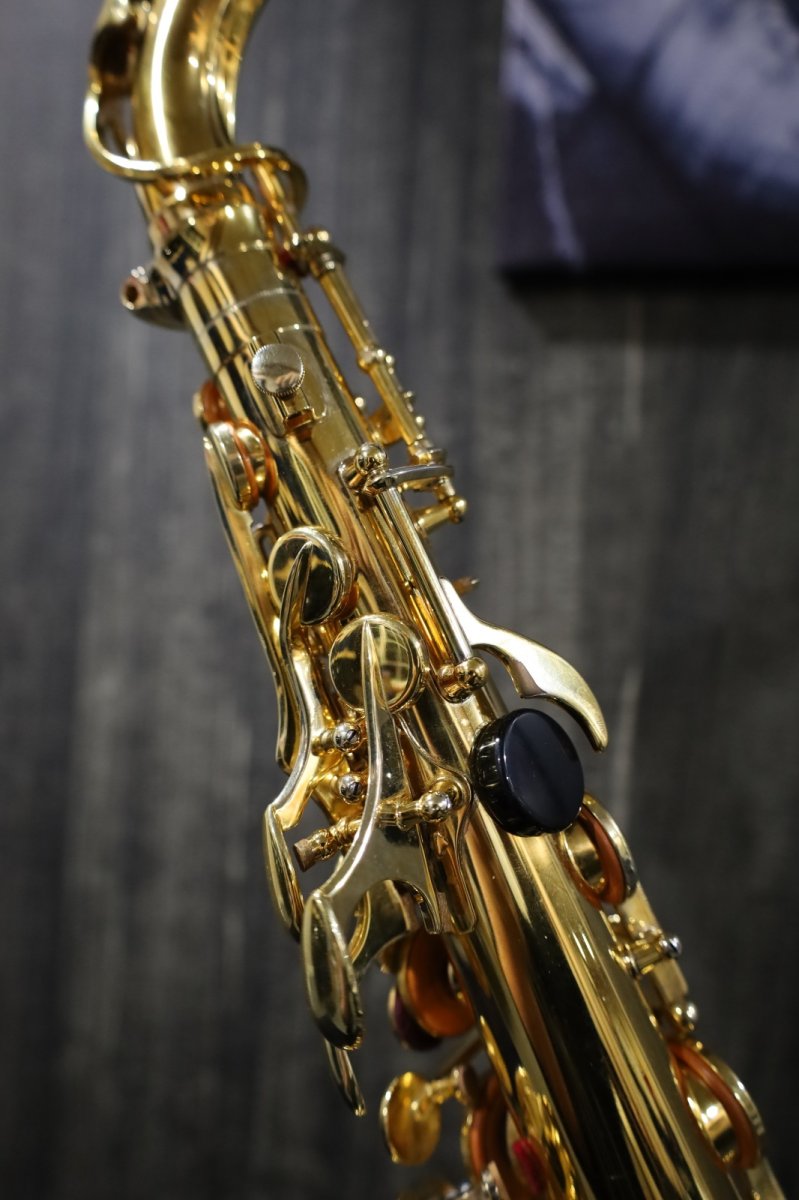 画像9: YAMAHA YAS-875G (9)