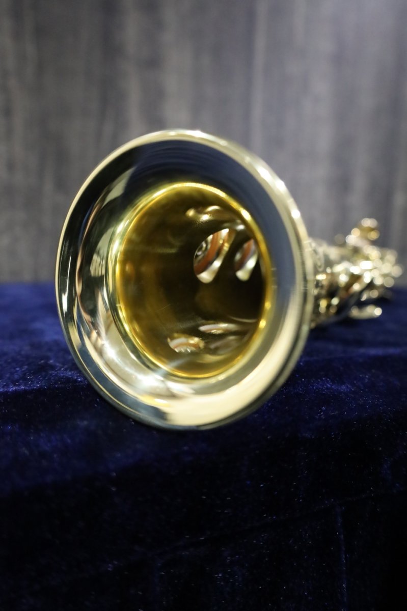 画像12: Selmer SA80 SERIE III GL (12)