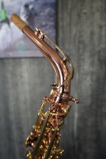 画像5: Buffet Crampon Senzo (5)