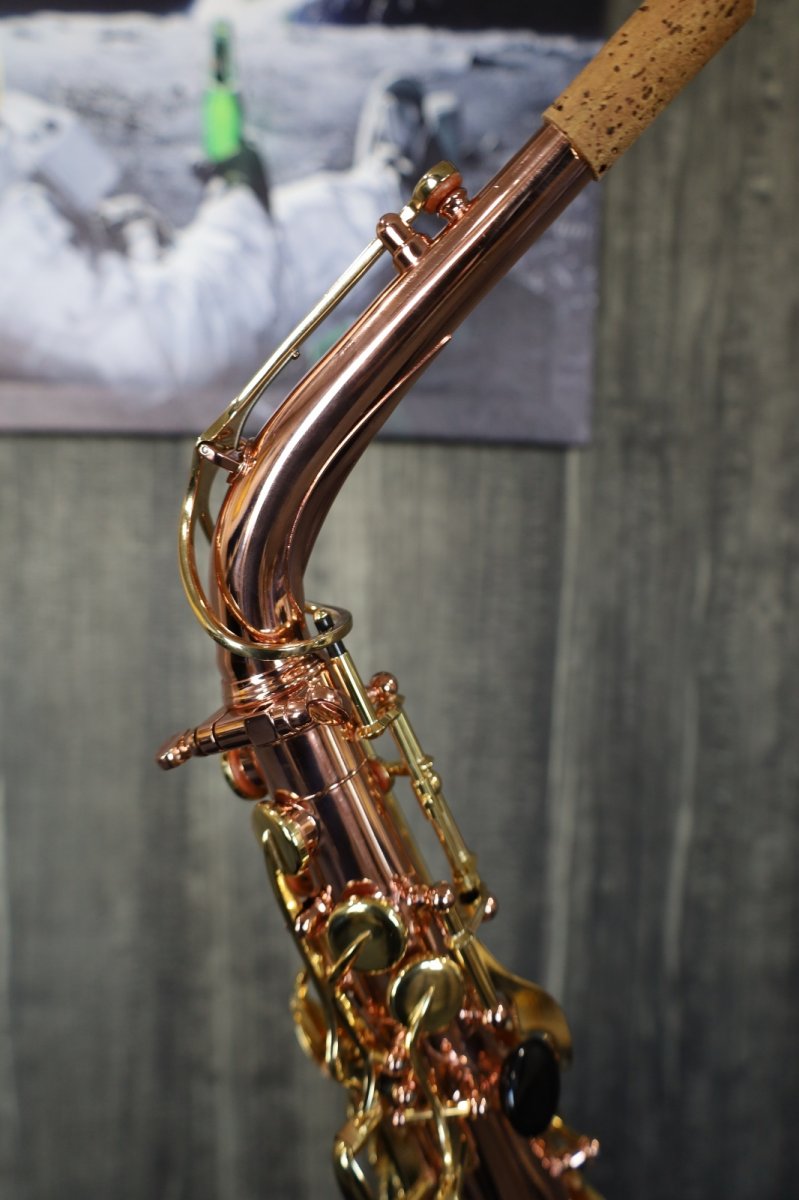 画像9: Buffet Crampon Senzo (9)