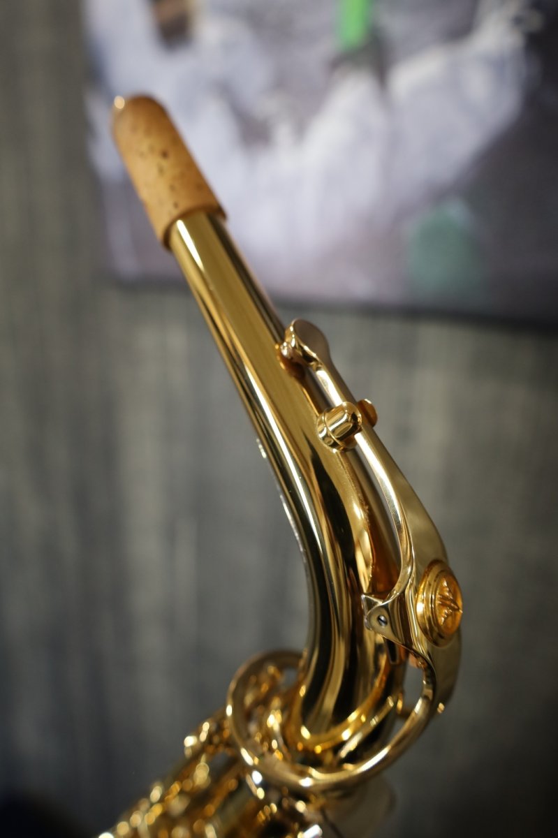 画像7: YAMAHA YAS-875EX (7)