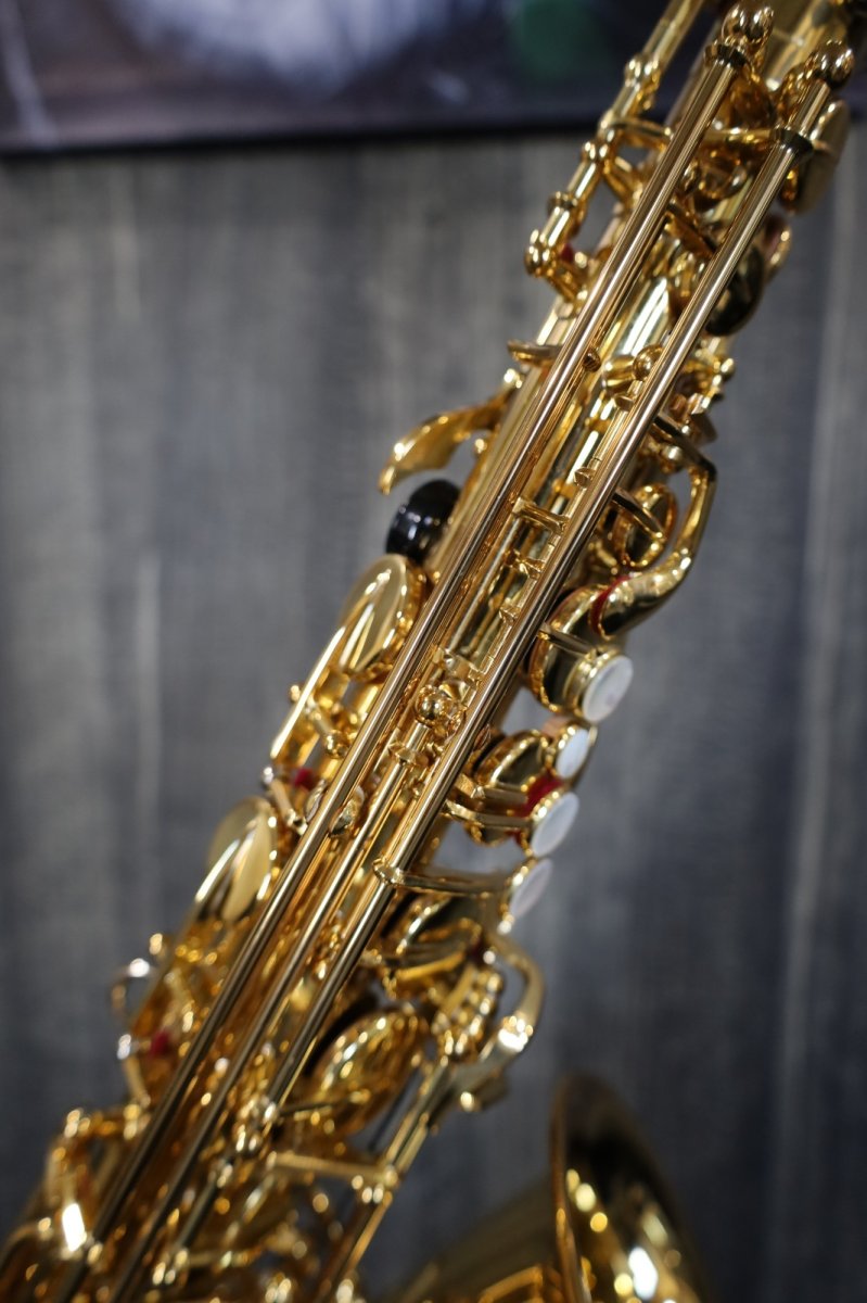 画像5: YAMAHA YAS-875EX (5)