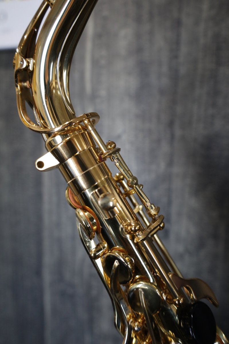 画像12: YAMAHA YAS-62 (3rd generation) (12)