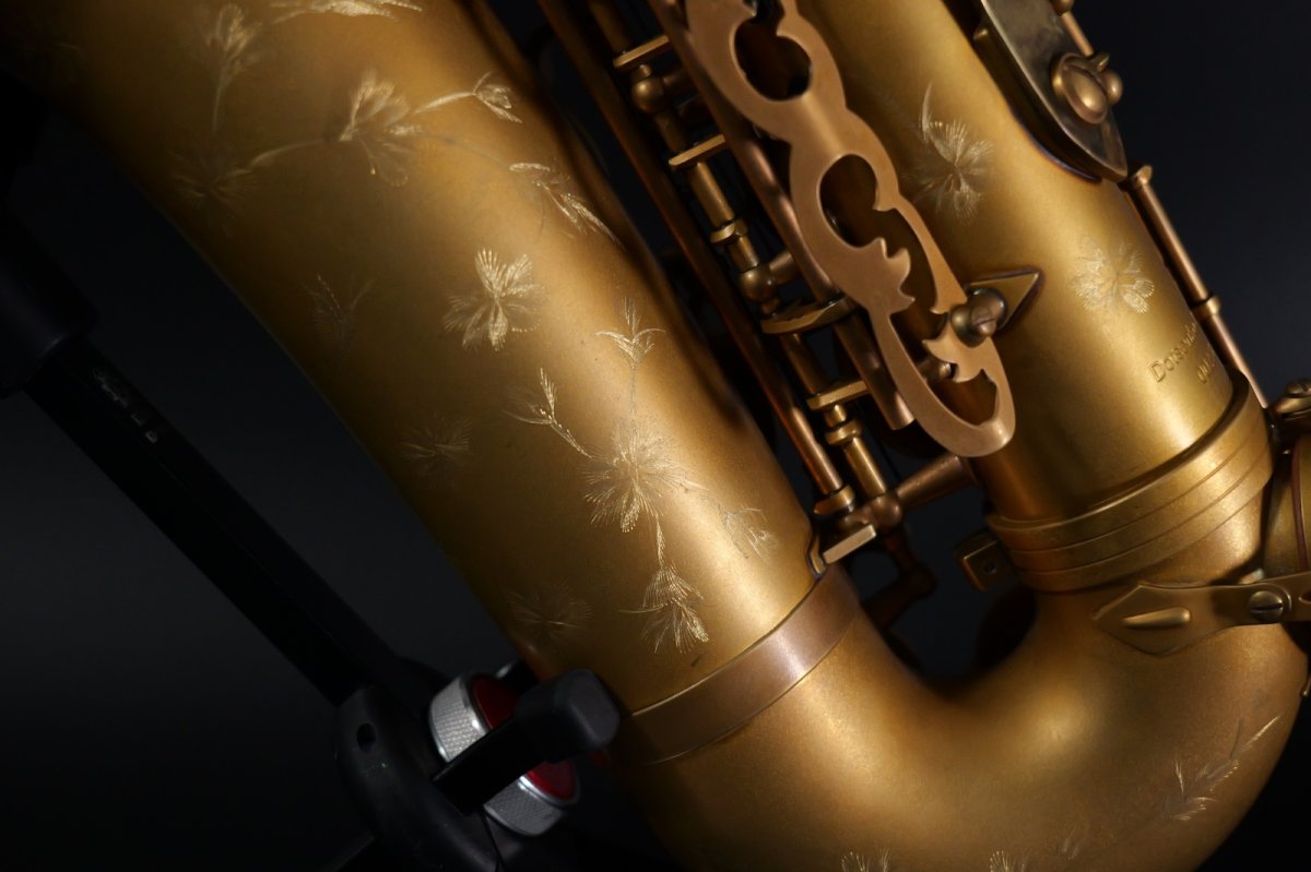 画像6: XYZ - Alto Pro Unlacquer model (6)