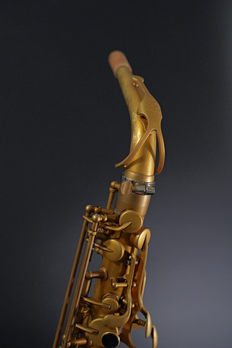 画像5: XYZ - Alto Pro Unlacquer model (5)