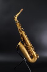 画像2: XYZ - Alto Pro Unlacquer model (2)