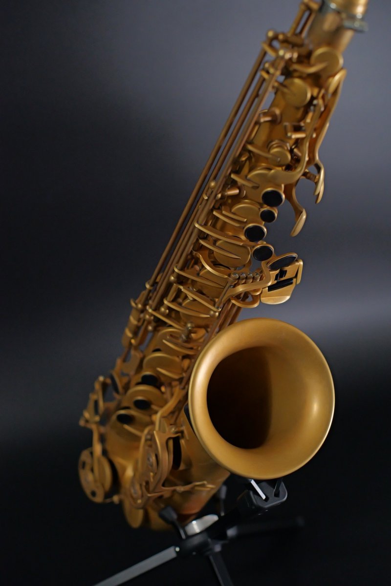 画像3: XYZ - Alto Pro Unlacquer model (3)