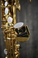 画像6: YAMAHA YSS-875EXHG (6)