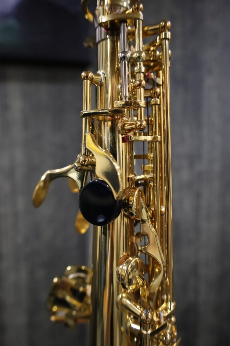 画像11: YAMAHA YSS-875EXHG (11)