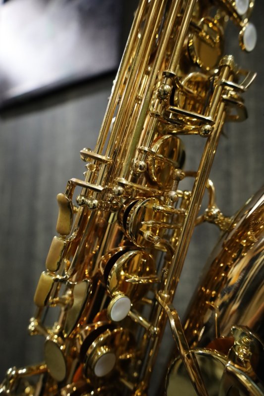 Yanagisawa A-WO2 - 管楽器を深く楽しむ人へ｜MOUTON STORE 楽器・楽譜