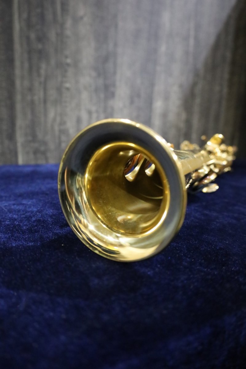 画像12: Yanagisawa S-990 ELIMONA (12)