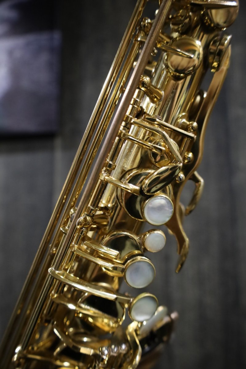 画像6: Selmer SerieIII jubilee GP tone (6)