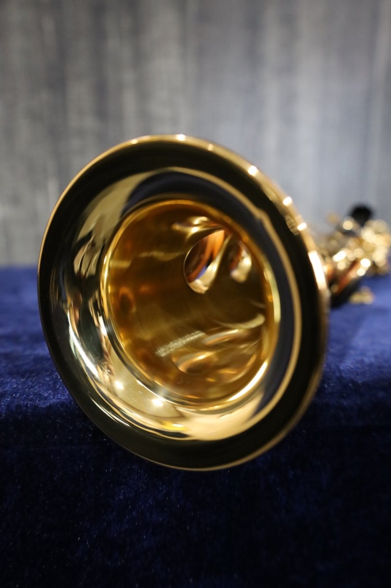 画像11: YAMAHA YSS-875EX (11)