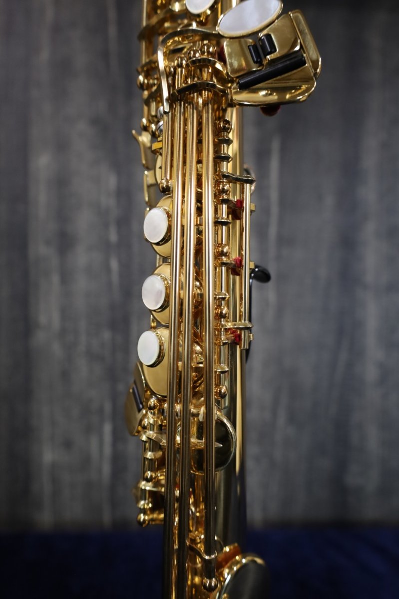 画像10: YAMAHA YSS-875EX (10)