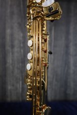 画像10: YAMAHA YSS-875EX (10)