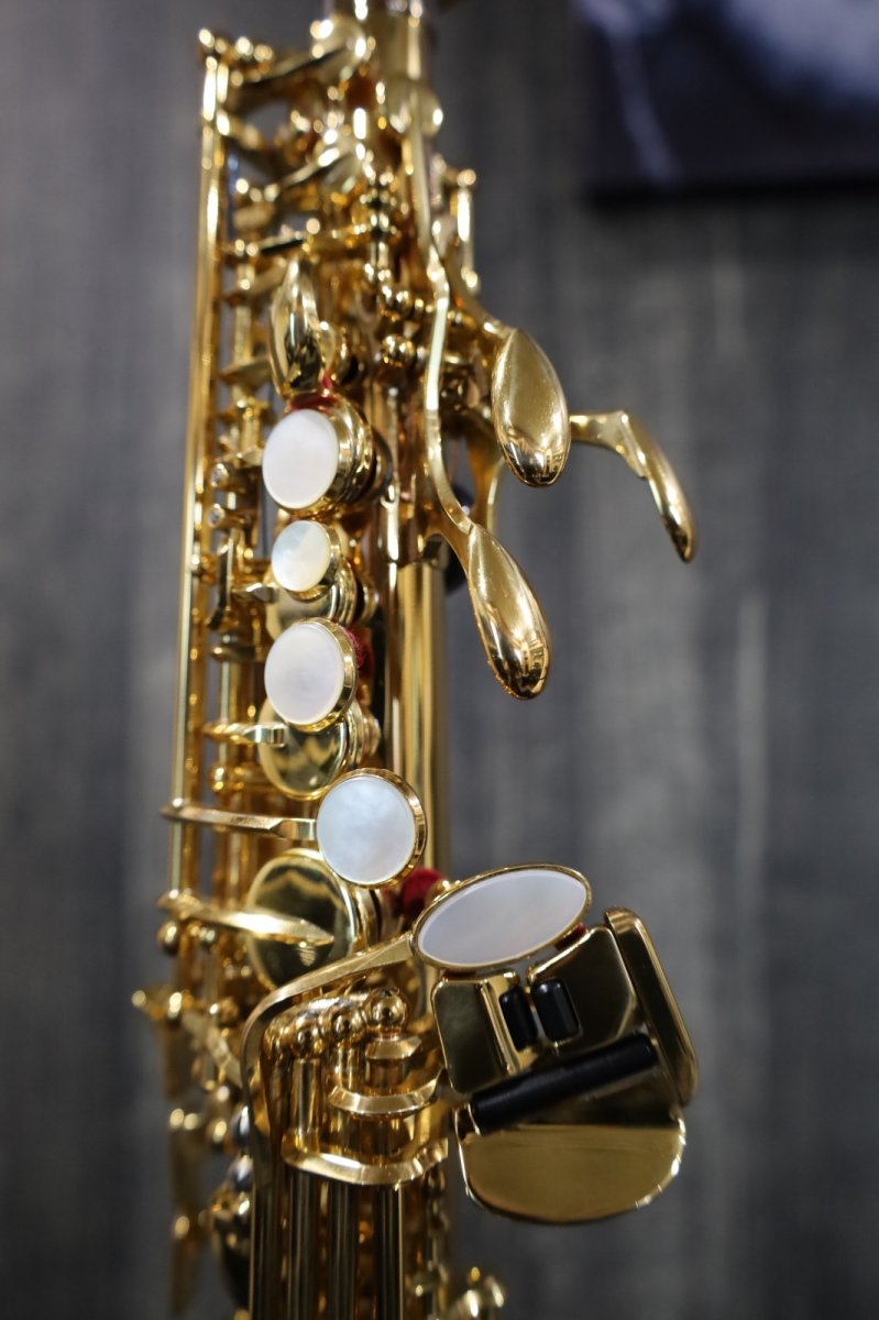 画像6: YAMAHA YSS-875EX (6)