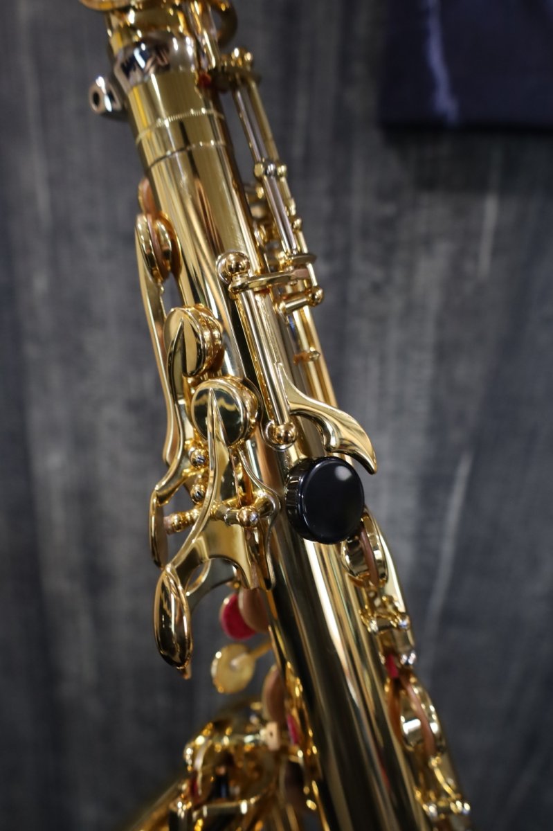 画像10: YAMAHA YAS-875EX (10)