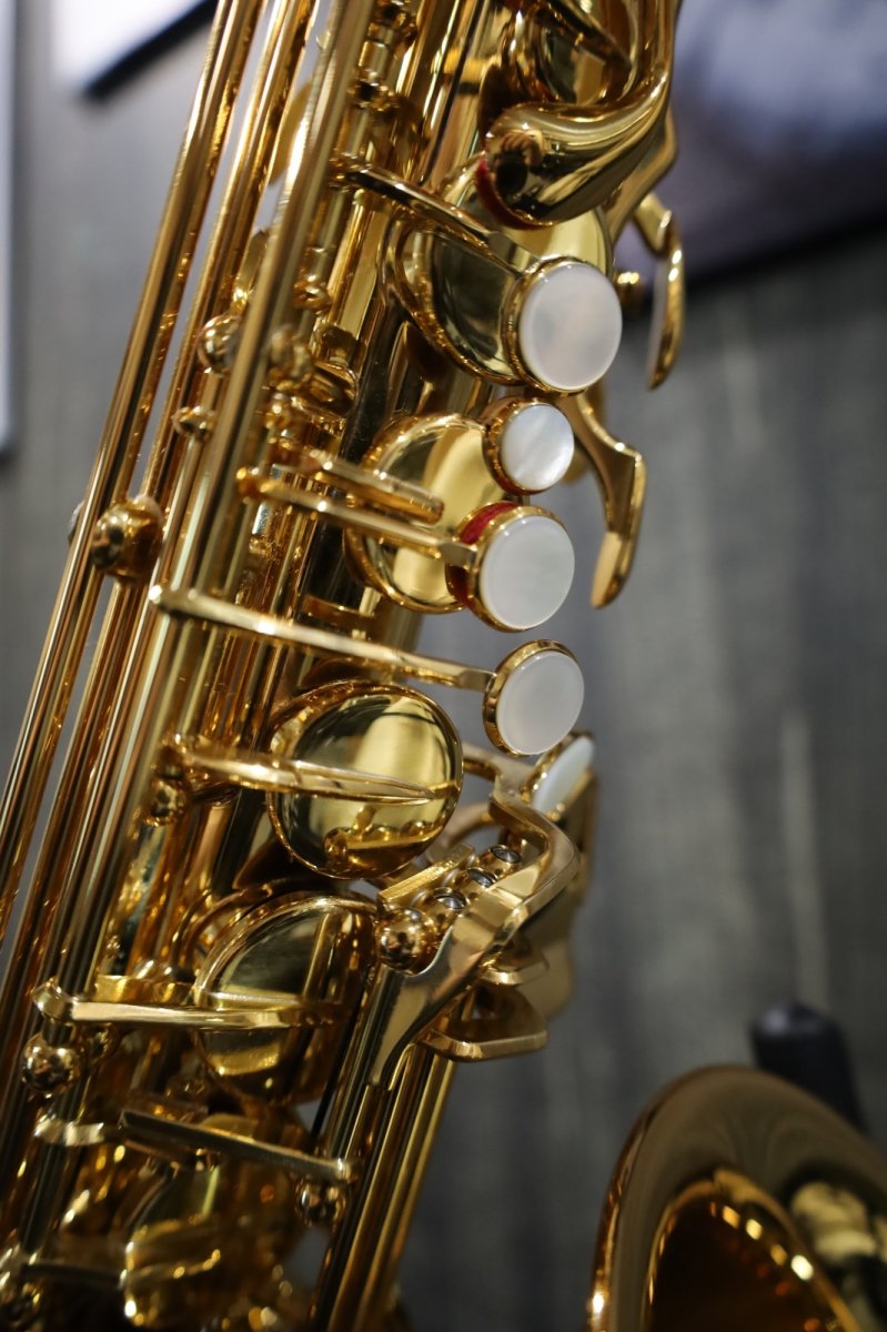 画像6: YAMAHA YAS-875EX (6)