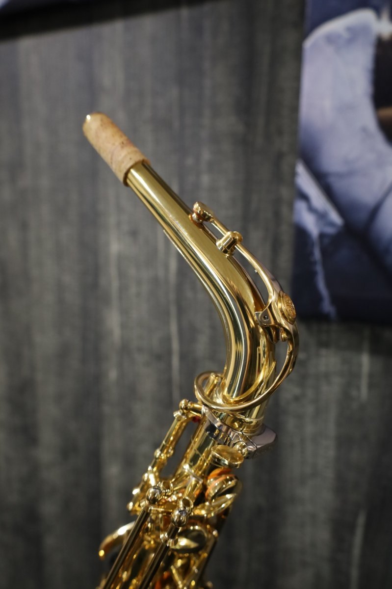 画像9: YAMAHA YAS-875EX (9)