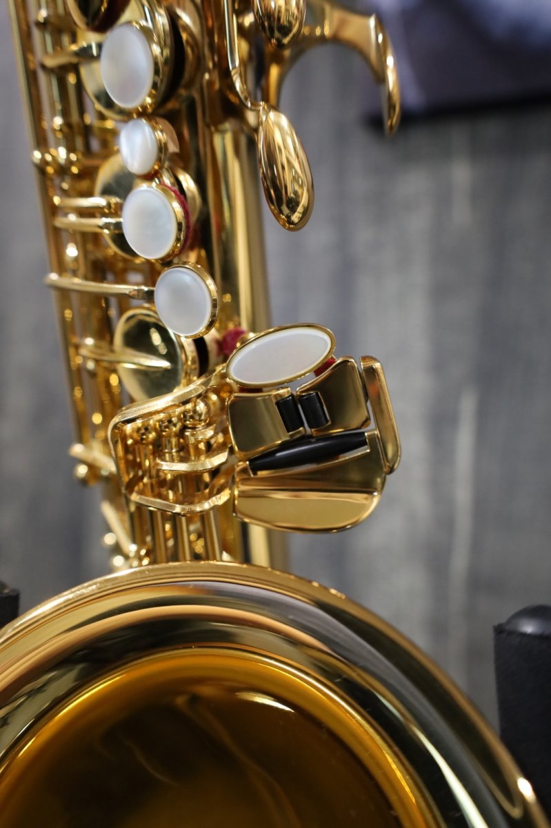 画像13: YAMAHA YAS-875EX (13)